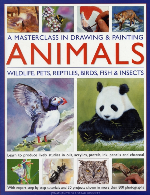 Masterclass in Drawing & Painting Animals, Hardback Book
