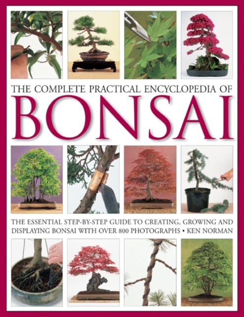 Complete Practical Encyclopedia of Bonsai, Hardback Book