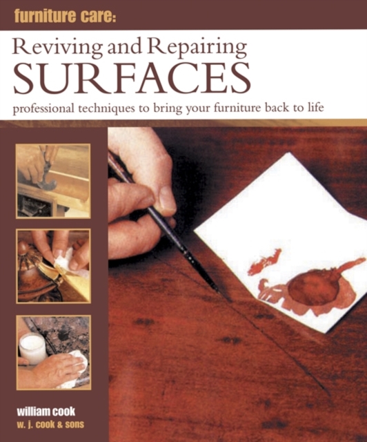 Furniture Care: Reviving and Repairing Surfaces : Professional Techniques to Bring Your Furniture Back to Life, Hardback Book