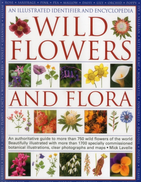 Illustrated Identifier and Encyclopedia: Wild Flowers and Flora, Hardback Book