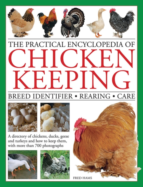 Practical Encyclopedia of Chicken Keeping, Hardback Book
