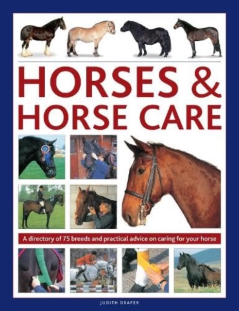 Horses & Horse Care : A directory of 75 breeds and practical advice on caring for your horse, Hardback Book