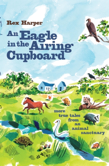An Eagle in the Airing Cupboard, Paperback / softback Book