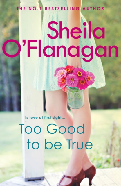 Too Good To Be True : A feel-good read of romance and adventure, EPUB eBook