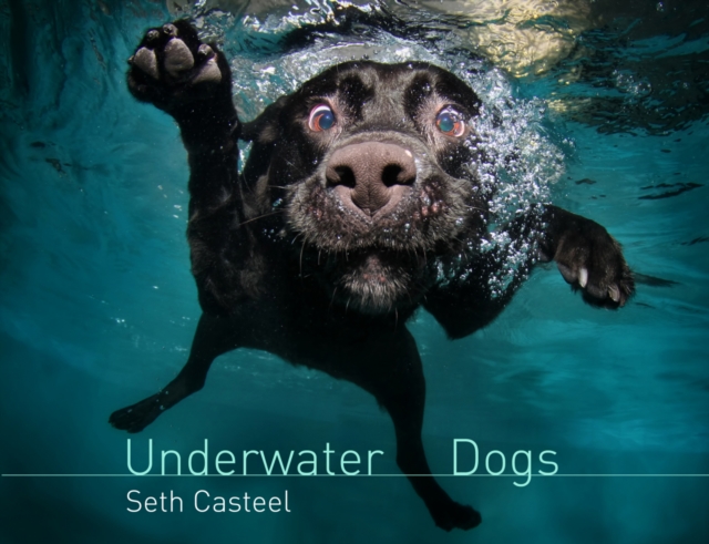 Underwater Dogs, EPUB eBook