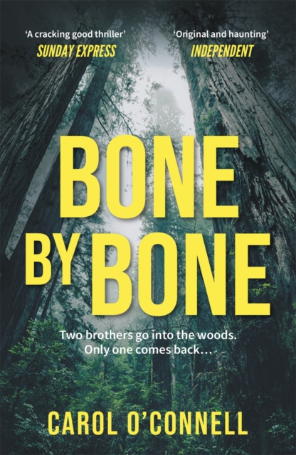 Bone by Bone : a gripping who-dunnit with a twist you don't see coming, EPUB eBook