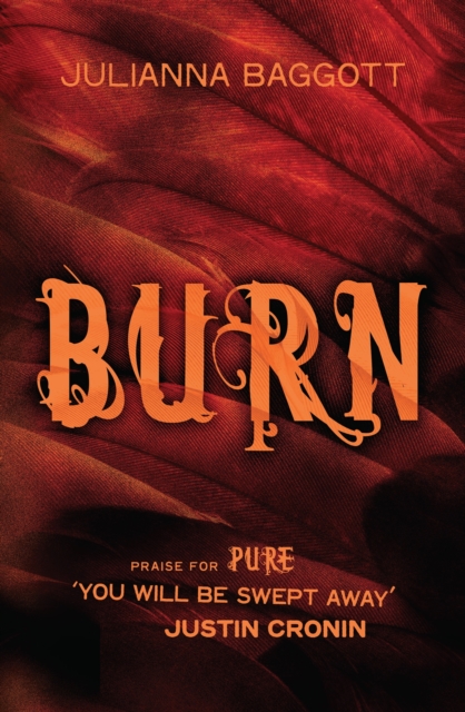 Burn, EPUB eBook