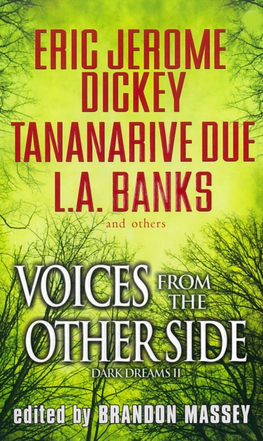 Voices From The Other Side : Dark Dreams Volume II, Paperback Book