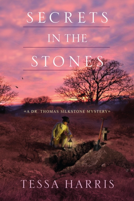 Secrets in the Stones, EPUB eBook