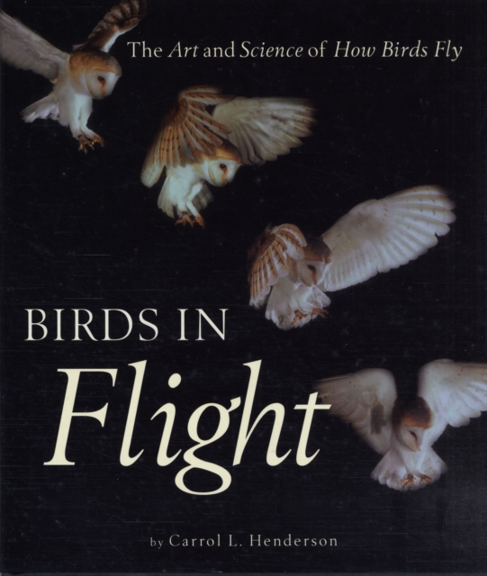 Birds in Flight : The Art and Science of How Birds Fly, Hardback Book