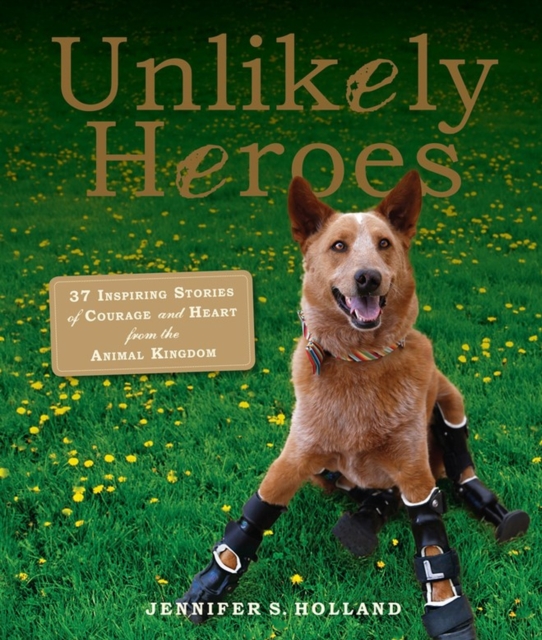 Unlikely Heroes : 37 Inspiring Stories of Courage and Heart from the Animal Kingdom, Paperback / softback Book