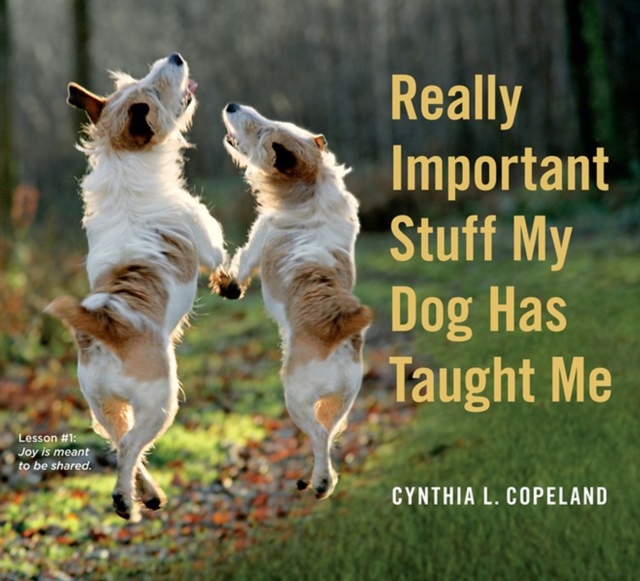 Really Important Stuff My Dog Has Taught Me, Paperback / softback Book