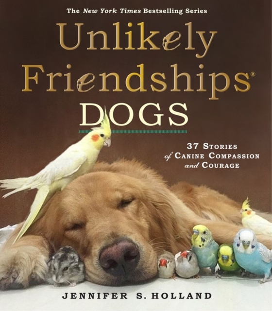 Unlikely Friendships: Dogs : 37 Stories of Canine Compassion and Courage, Paperback / softback Book