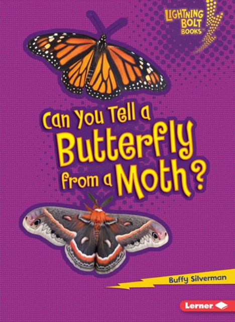 Can You Tell a Butterfly from a Moth?, PDF eBook