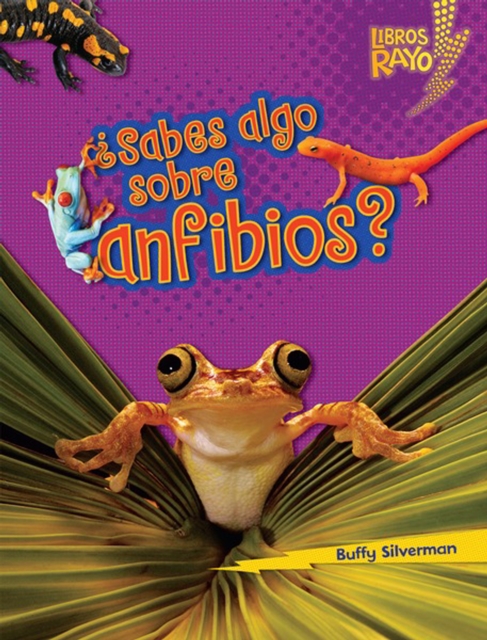 Sabes algo sobre anfibios? (Do You Know about Amphibians?), PDF eBook