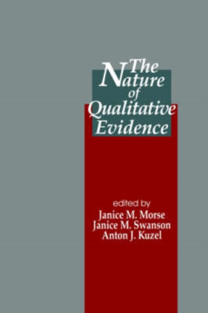 The Nature of Qualitative Evidence, Paperback / softback Book