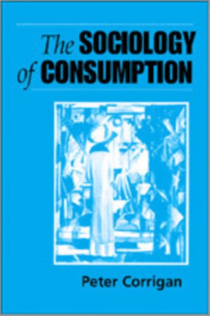 The Sociology of Consumption : An Introduction, Hardback Book