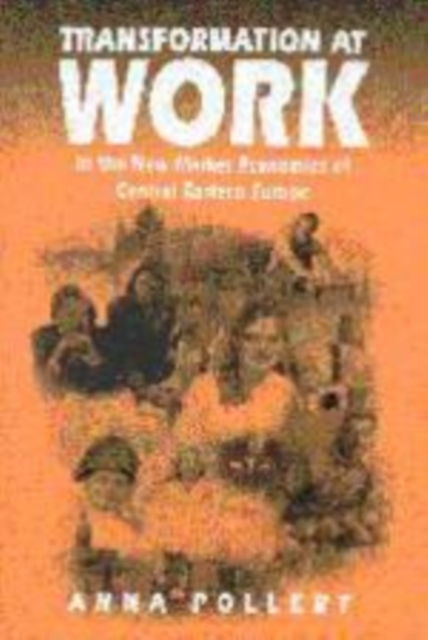 Transformation at Work : In the New Market Economies of Central Eastern Europe, Hardback Book
