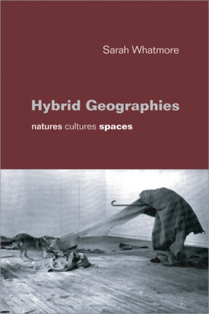 Hybrid Geographies : Natures Cultures Spaces, Paperback / softback Book