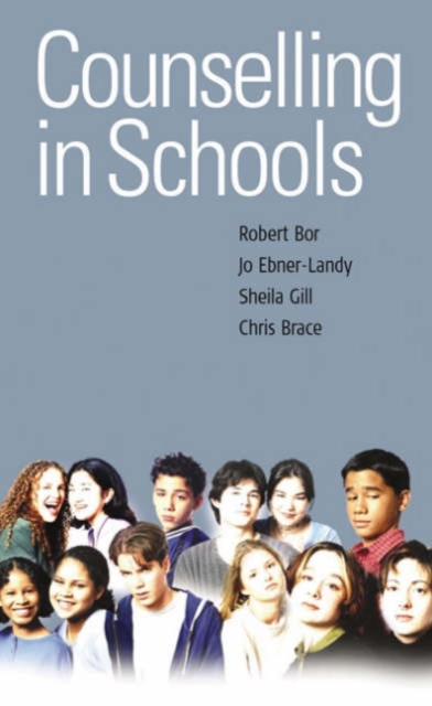 Counselling in Schools, Hardback Book