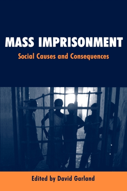 Mass Imprisonment : Social Causes and Consequences, Paperback / softback Book