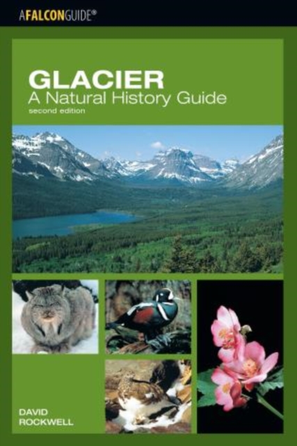 Glacier: A Natural History Guide, Paperback / softback Book