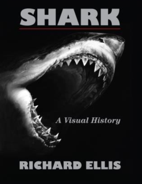 Shark : A Visual History, Paperback / softback Book