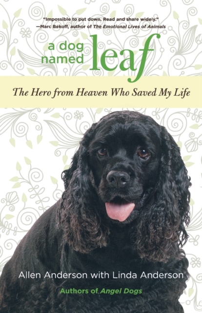 Dog Named Leaf : The Hero From Heaven Who Saved My Life, Paperback / softback Book