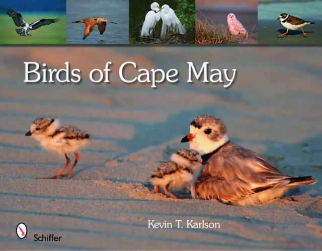 Birds of Cape May, New Jersey, Hardback Book