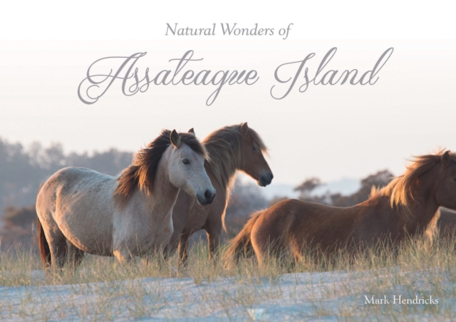 Natural Wonders of Assateague Island, Hardback Book