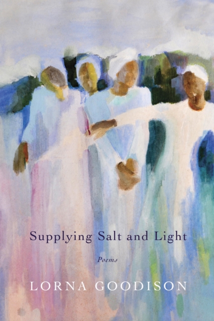Supplying Salt and Light, EPUB eBook