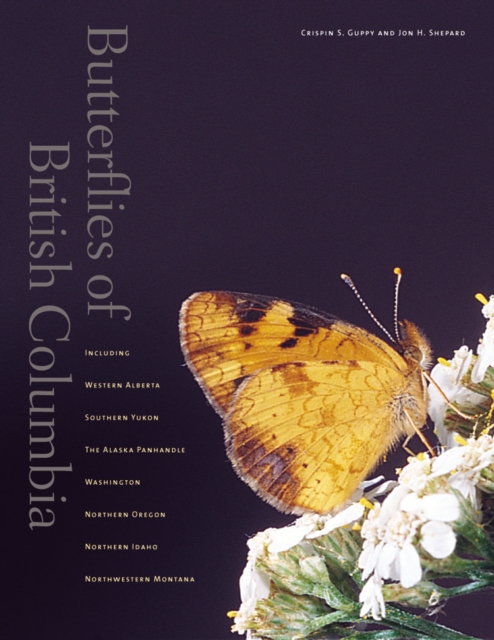 Butterflies of British Columbia : Including Western Alberta, Southern Yukon, the Alaska Panhandle, Washington, Northern Oregon, Northern Idaho, and Northwestern Montana, Hardback Book
