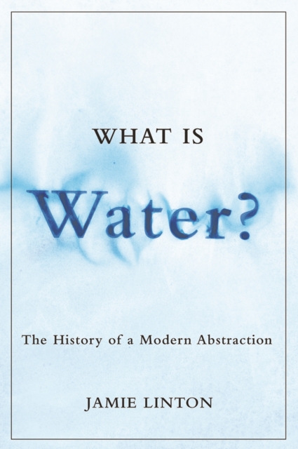 What Is Water? : The History of a Modern Abstraction, Paperback / softback Book