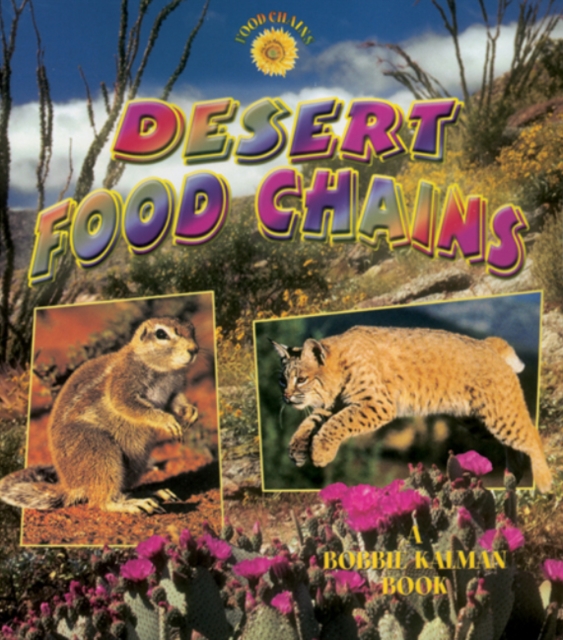 Desert Food Chains, Paperback / softback Book
