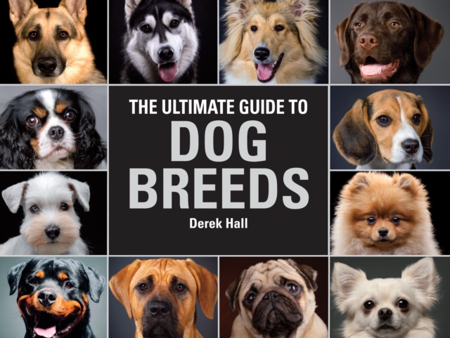 The Ultimate Guide To Dog Breeds : A useful means of identifying the dog breeds of the world and how to care for them, Hardback Book