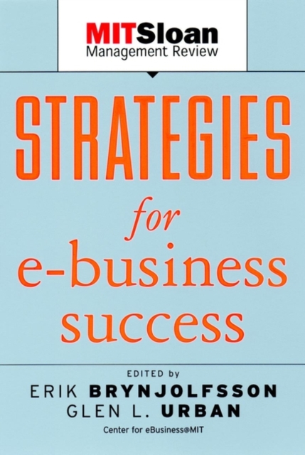 Strategies for E-Business Success, Paperback / softback Book