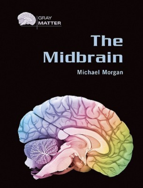 The Midbrain, Hardback Book