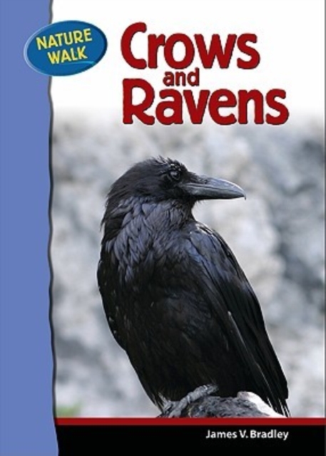 Ravens and Crows, Hardback Book