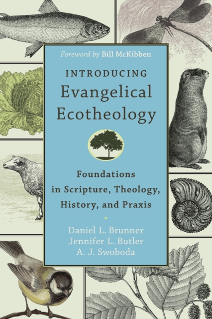 Introducing Evangelical Ecotheology - Foundations in Scripture, Theology, History, and Praxis, Paperback / softback Book