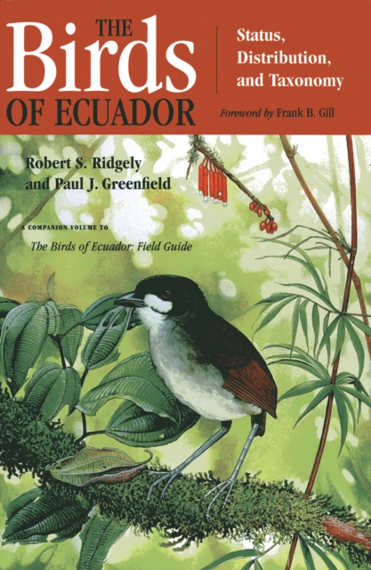 The Birds of Ecuador : Field Guide Field Guide Vol II, Paperback Book