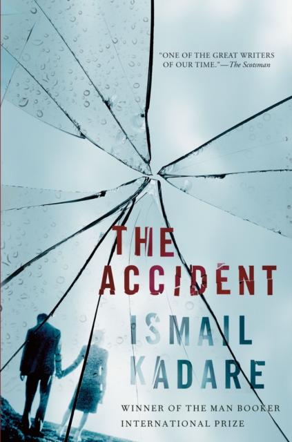 The Accident : A Novel, EPUB eBook