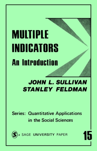 Multiple Indicators : An Introduction, Paperback / softback Book