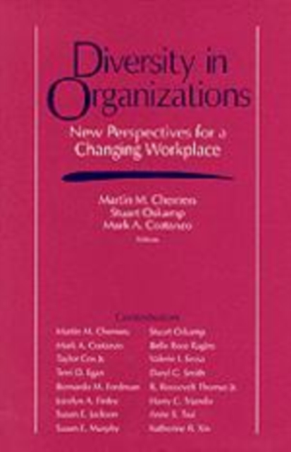 Diversity in Organizations : New Perspectives for a Changing Workplace, Paperback / softback Book