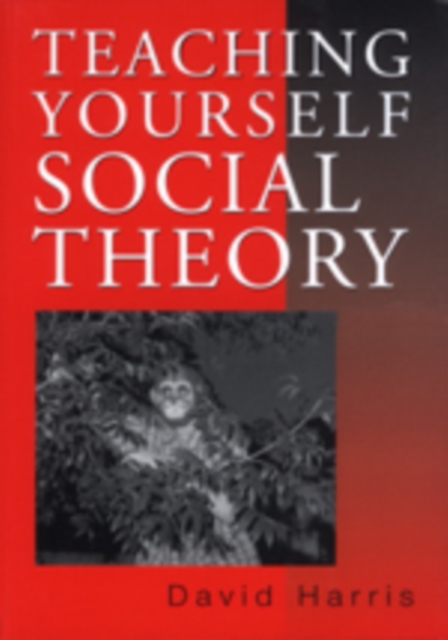 Teaching Yourself Social Theory, Hardback Book