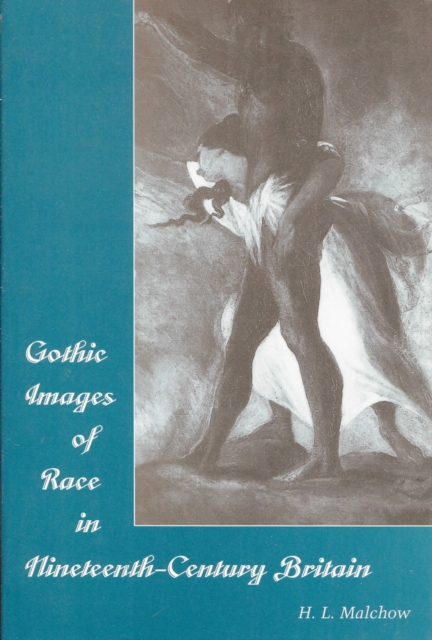 Gothic Images of Race in Nineteenth-Century England, Hardback Book