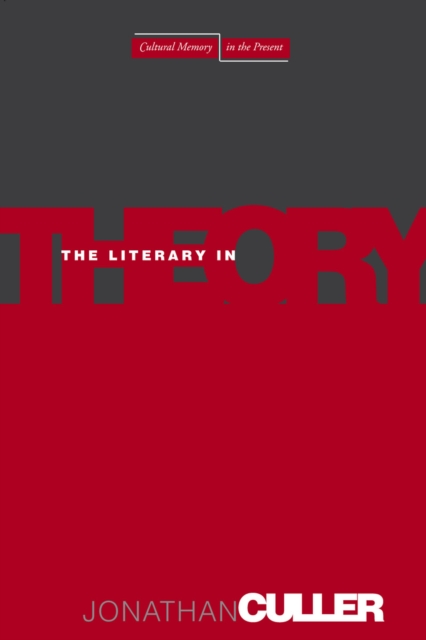 The Literary in Theory, Paperback / softback Book
