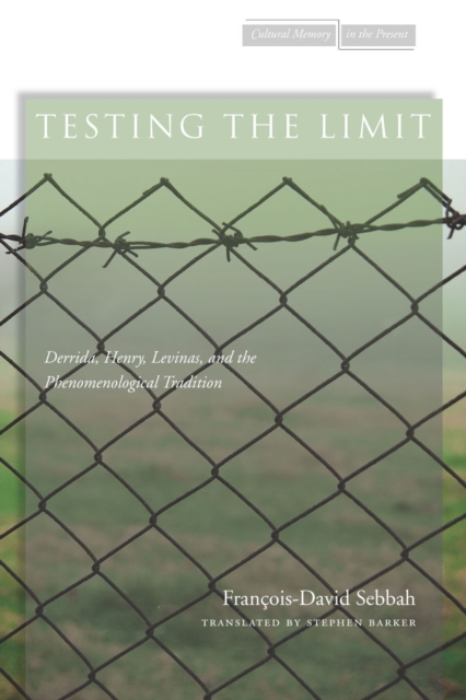 Testing the Limit : Derrida, Henry, Levinas, and the Phenomenological Tradition, Paperback / softback Book