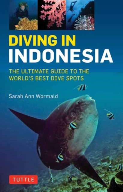 Diving in Indonesia : The Ultimate Guide to the World's Best Dive Spots: Bali, Komodo, Sulawesi, Papua, and more, Paperback / softback Book