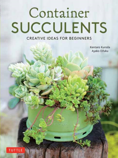 Container Succulents : Creative Ideas for Beginners, Paperback / softback Book