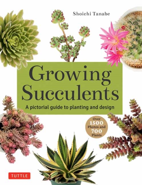 Growing Succulents : A Pictorial Guide (Over 1,500 photos and 700 plants), Paperback / softback Book